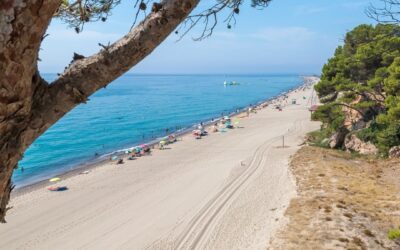 What to see in Vila-seca?