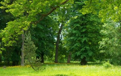 The best parks on the Costa Dorada