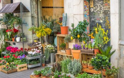 El Barrio de Gracia