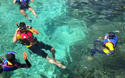 Things to do in Lloret de Mar
