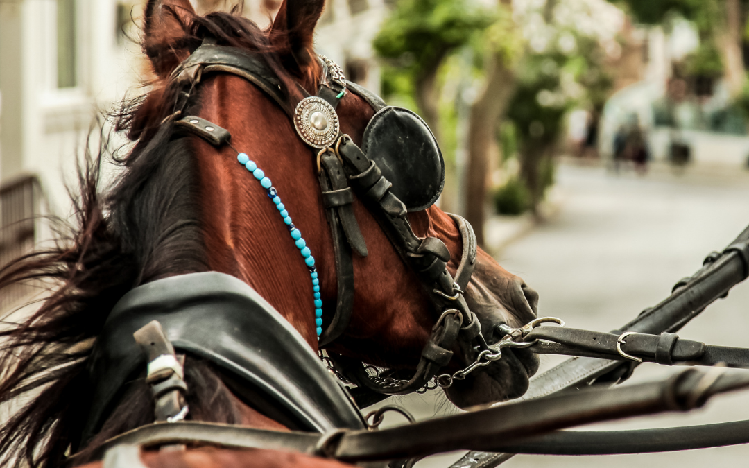 ‘Els Tres Tombs’ de Barcelona
