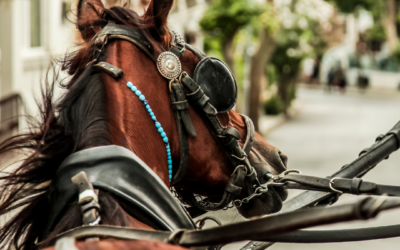 ‘Els Tres Tombs’ in Barcelona