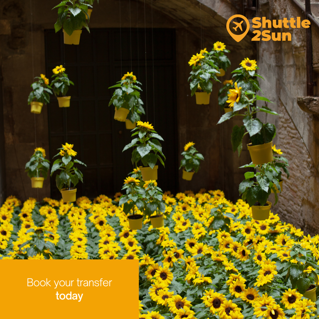 Cathedral of Girona Flowers Festival