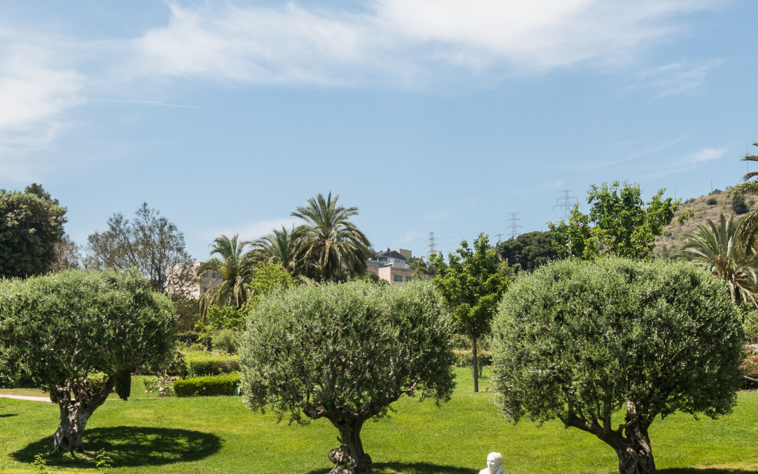 Discover Cervantes Park in Barcelona, an enclave of nature, roses and history