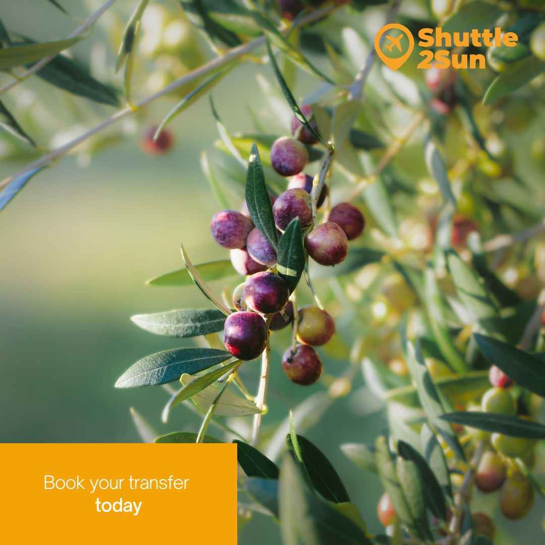 Transfer Barcelona Airport to Reus